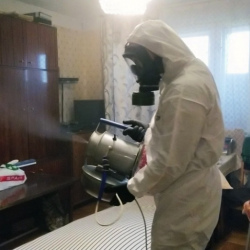Дезинфекция от клопов в Лисках