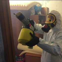 Уничтожение клопов в квартире. Лиски